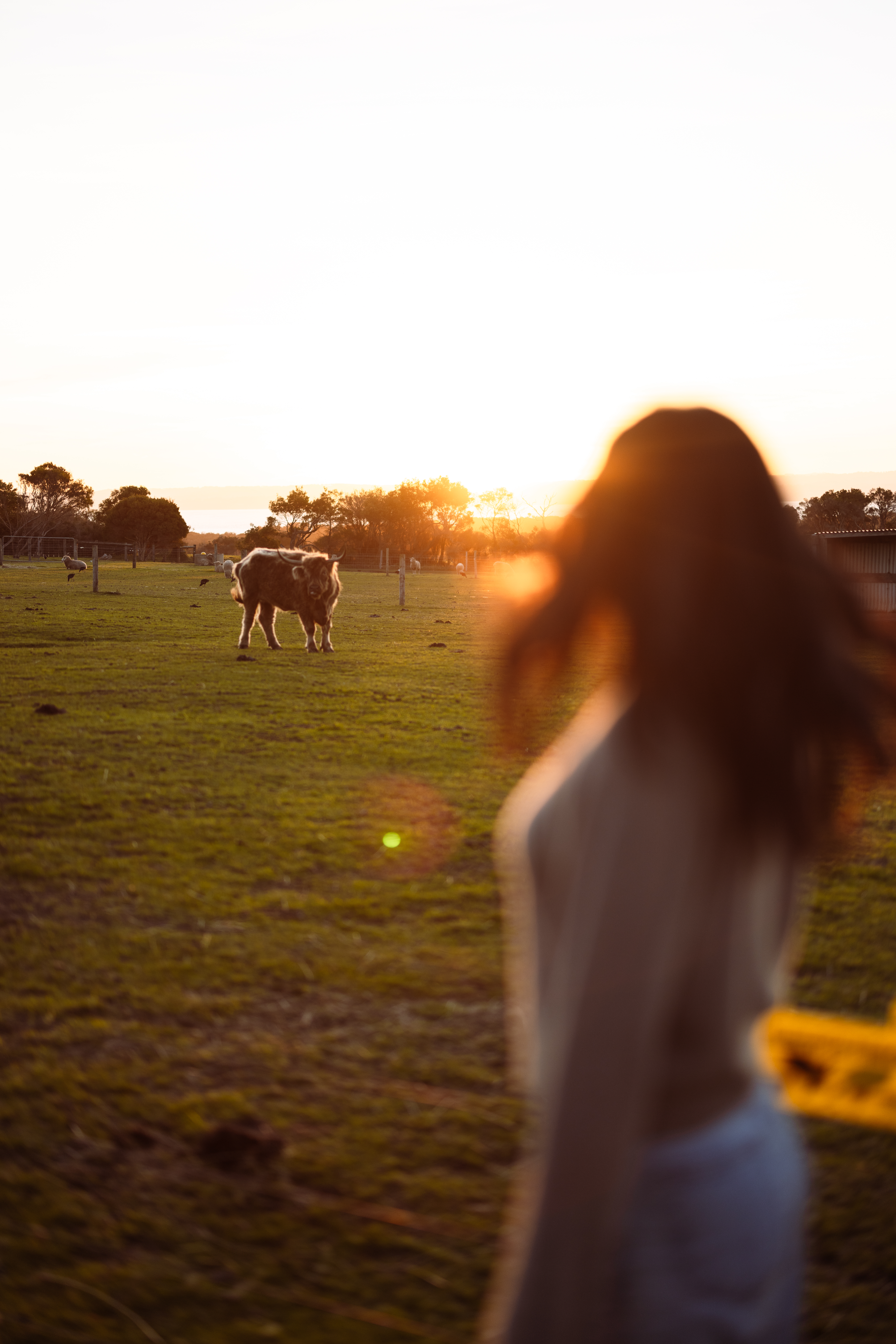Five Acres Phillip Island