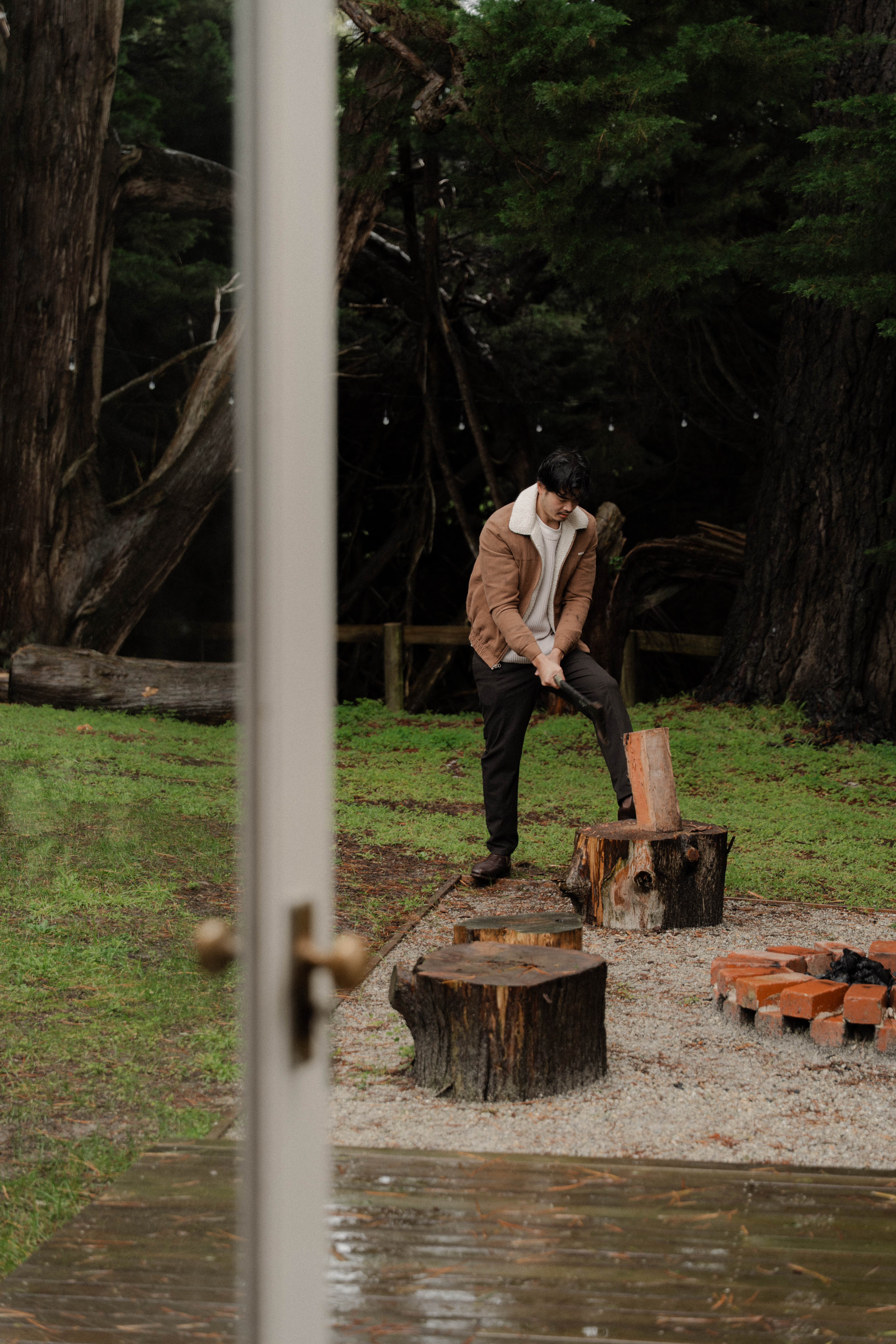 The Little Woods