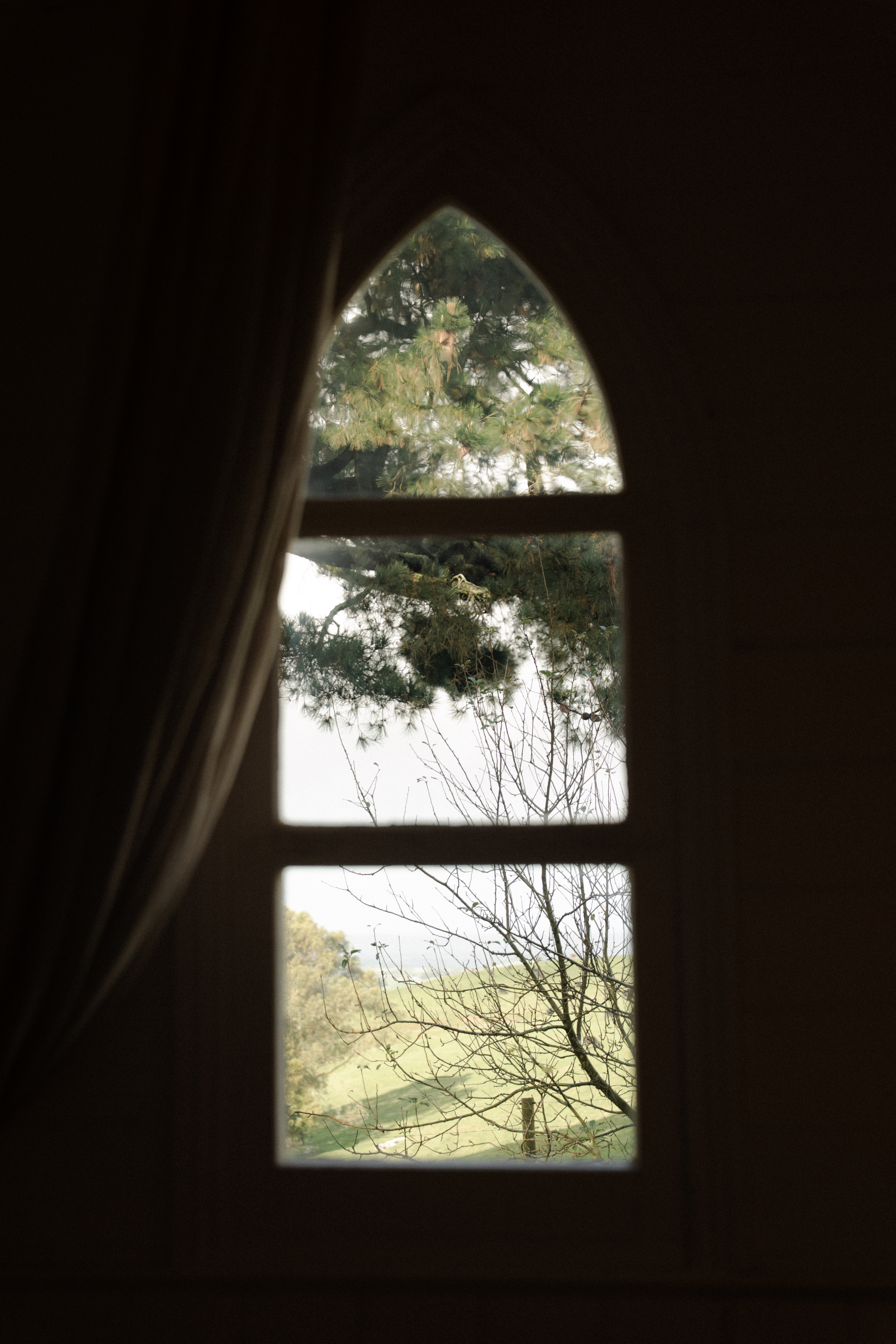 The Little Woods