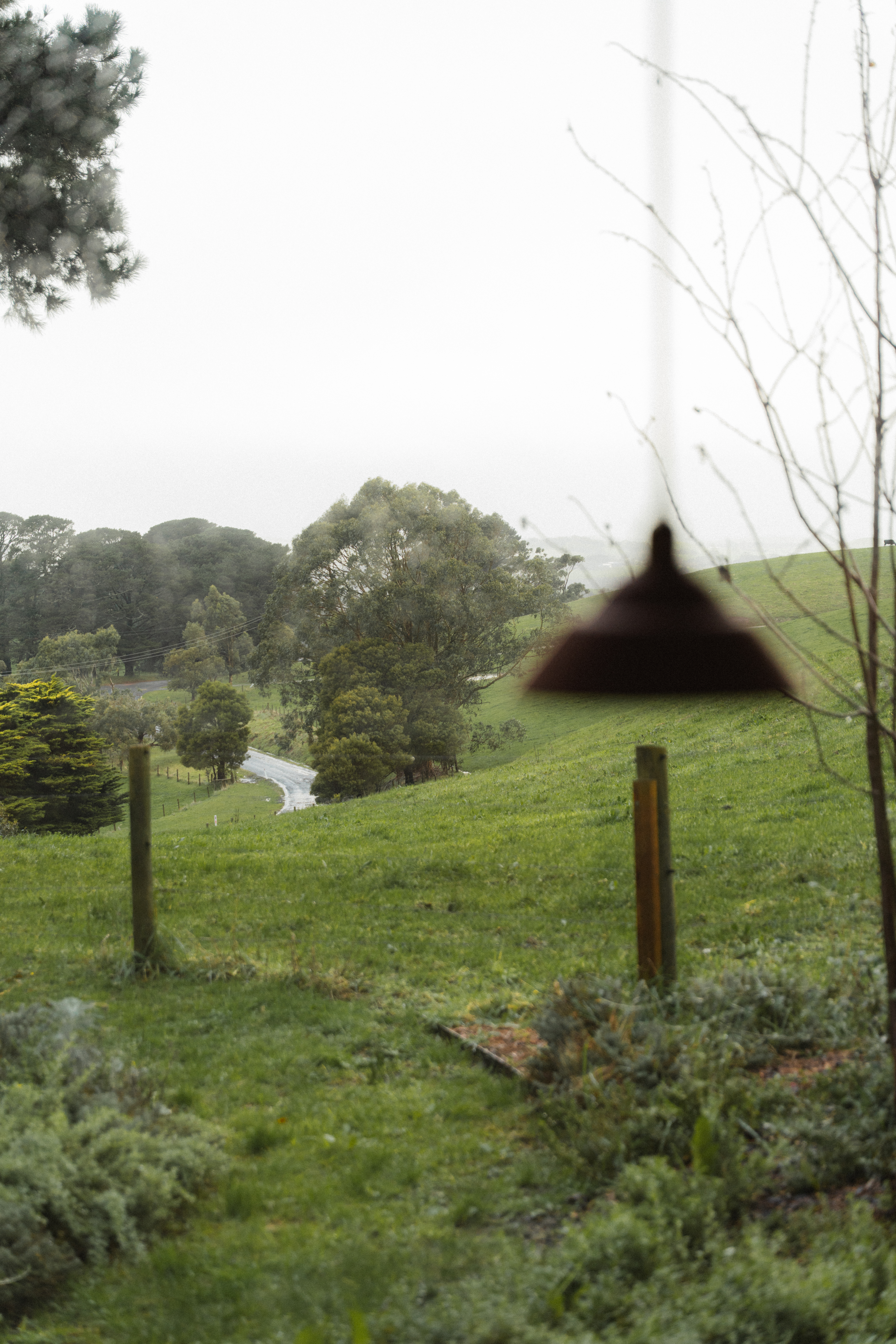 The Little Woods