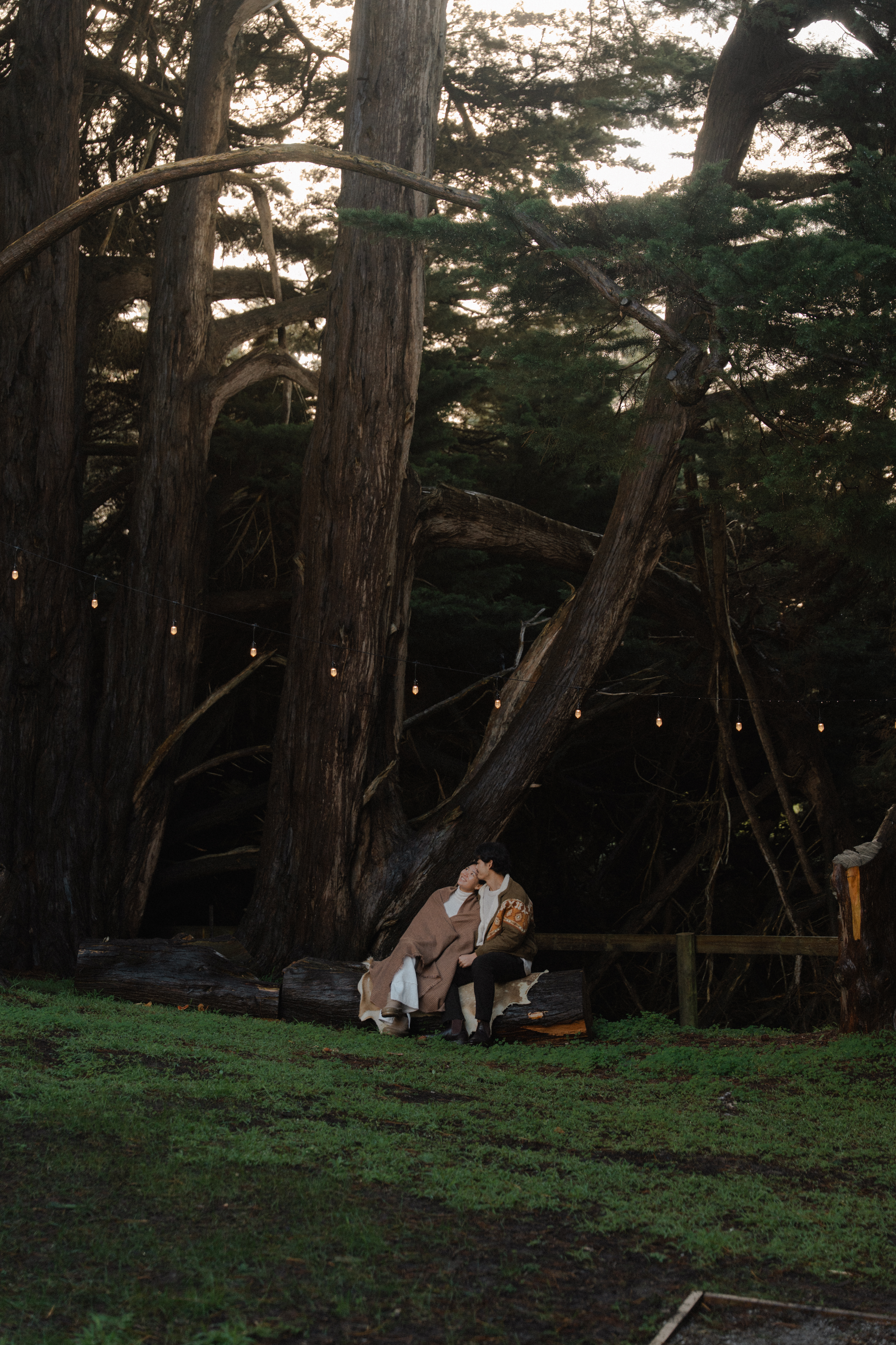 The Little Woods