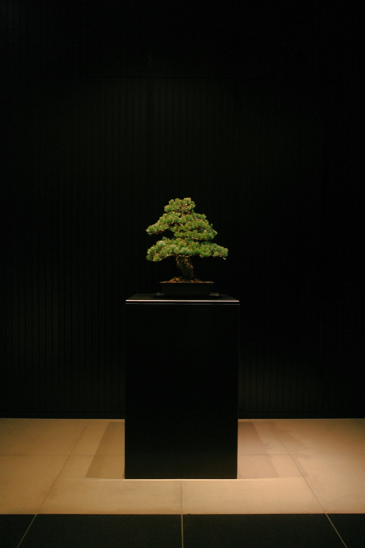 Ritz-Carlton Kyoto
