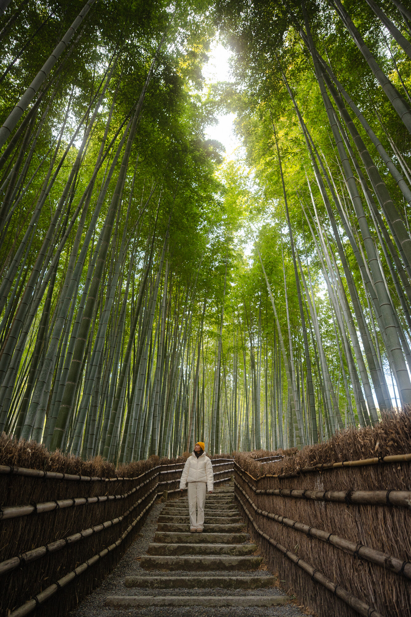 Kyoto, Japan